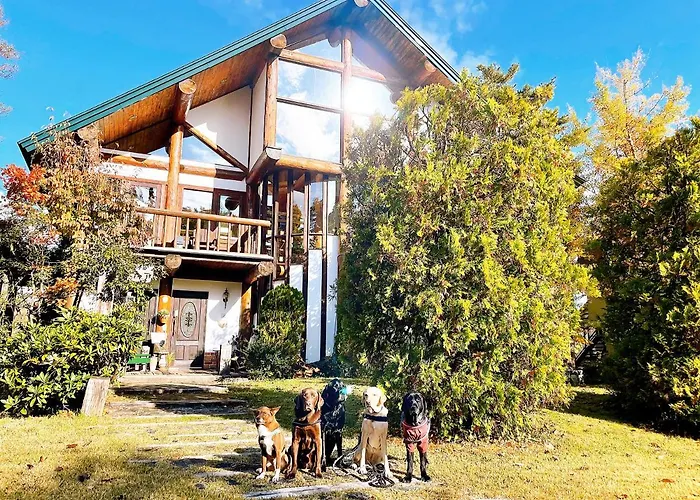 Hakuba Log Hotel Meteor
